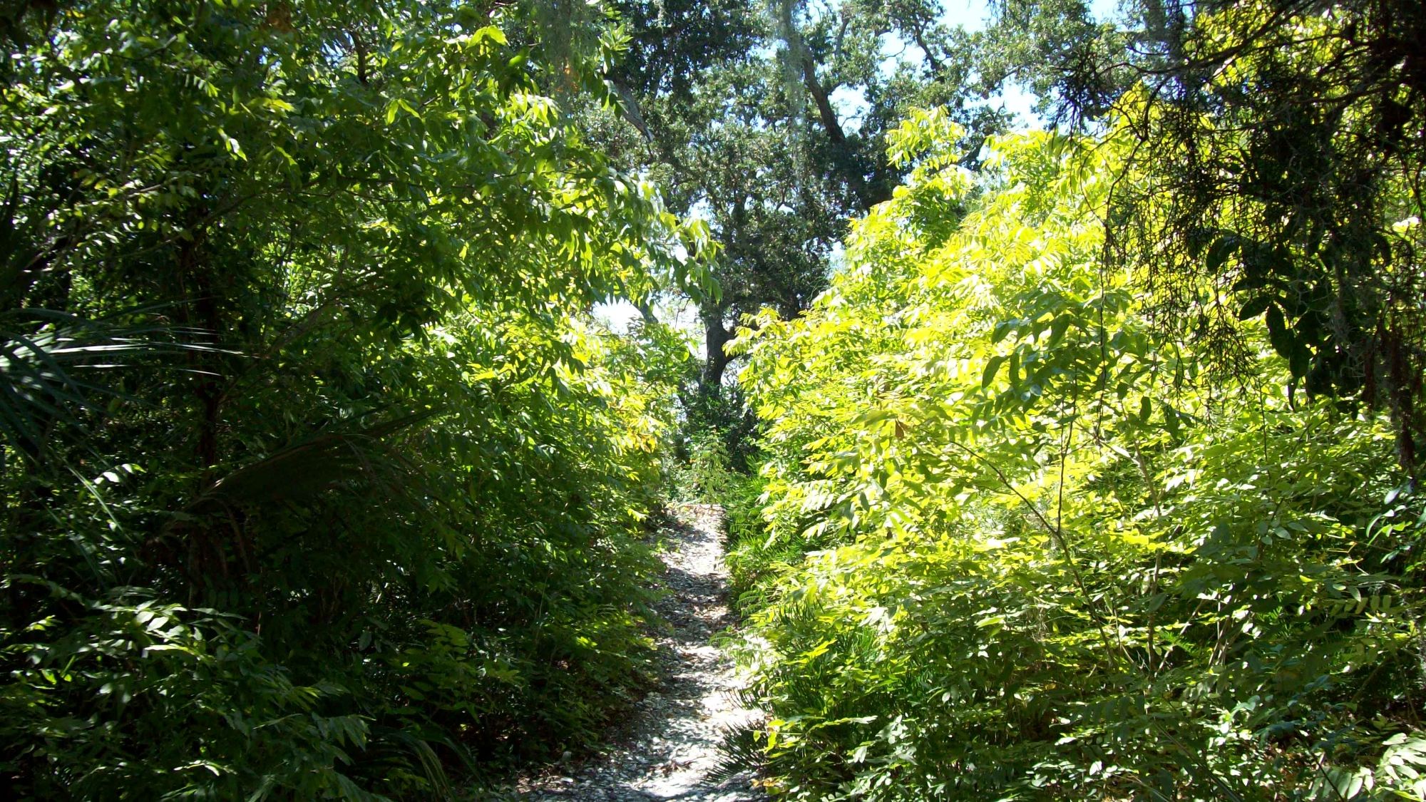 Florida property access area